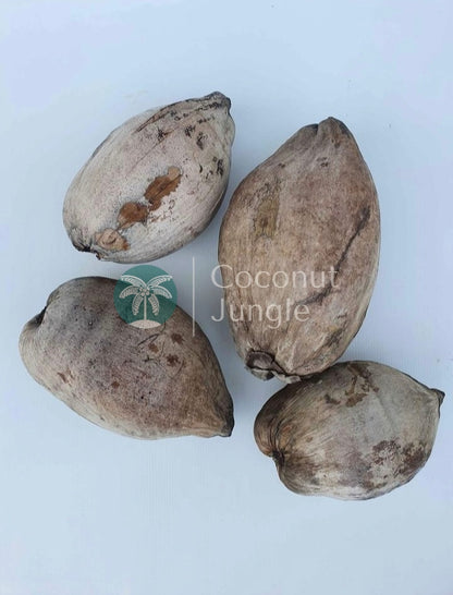 Dried Coconut