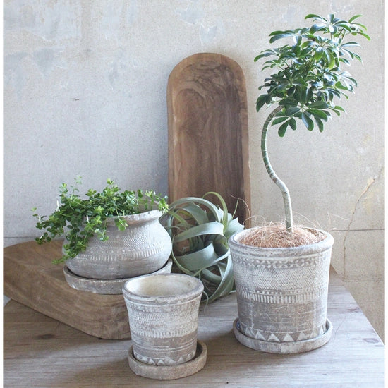 Planter Pot- Terracotta Pattern